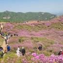 황매산 철쭉제 이미지