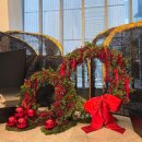 그린트리약국 | [대전] 호텔 오노마 대전 : 임산부 태교여행 신혼여행 숙소 추천 / 대전 5성급 호텔 내돈내산 후기