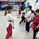 용인대 현대태권도장 이미지