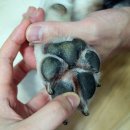 세종코코약국 이미지