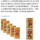 🇳🇿뉴질랜드 워홀 [D+121] 남섬 시골마을에서 살기