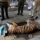 남수농장 연합뉴스