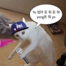 봉순대 네이버블로그