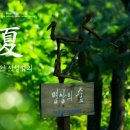 재단법인 仙敎 이미지