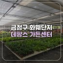 금정미래써비스 | [부산/금정구] 부산 노포동 화훼단지 데팡스 가든센터 식물 화분 구입