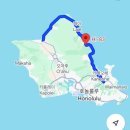 지상길농장 | [하와이] 오아후섬 가볼만한곳 관광지 후기_2🍍🌊💛(돌플랜테이션, 83번 국도)