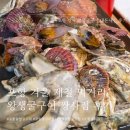 왕생굴구이 | [포항] 쌍사 웨이팅 맛집 왕생굴구이 굴튀김 내돈내산 후기