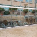 작전중학교 이미지