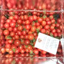 대추농장 | 농라에프 나도 CREATOR - 채온농장 '찐 대추방울토마토' 구매 후기