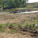 불은면-10 이미지