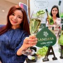 나라셀라신세계백화점 이미지