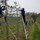 번암면사무소 이미지