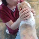 평촌나무동물병원 이미지