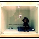 세븐동물병원 이미지