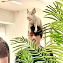 성수아트홀 이미지