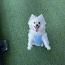 지디파크 이미지