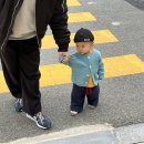 옥스퍼드어린이집 | 피넛포레스트 와플셋업, 코튼팬츠, 스트라이프 가운, 썸머시즌 옷 후기 및 착샷