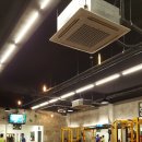 팀스카이 이미지