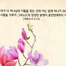 배달천국 이미지