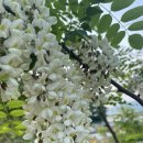 석모도부자캠핑장 이미지