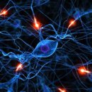 하늘토엠디한의원 이미지