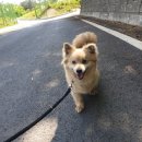 양지양만 네이버블로그