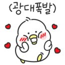 모두의음악버클리음대동문실용음악학원 네이버블로그