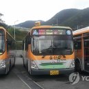주정차단속-33 이미지