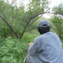 장군농장 이미지