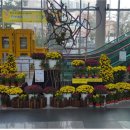 하늘정원3 이미지