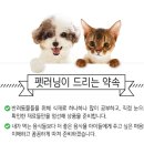 주식회사 펫더맨 이미지