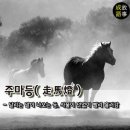 주마등 - 창원시 마산회원구 | 주마등