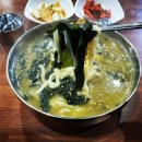 선채향 이미지