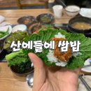 산에들에 | 웰빙쌈밥집_ 산에들에 후기&amp;두물머리 주말 나들이