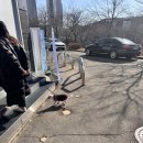 우쭈쭈플렉스 강아지 유치원 호텔 이미지