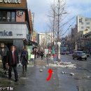 베이커리오월의종 이미지
