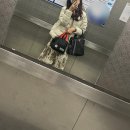 양양별채268