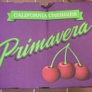 영풍상회 이미지