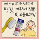 엄지유치원 | 유치원 준비물 칫솔 치약 세트 픽킷 유아 어린이 칫솔 1450 키즈 고불소 치약