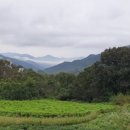 온유민박 이미지