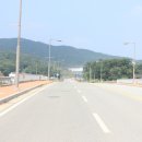 진천선수촌 진입로 가로수 이미지