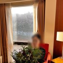 스위스그랜드호텔서울 이미지