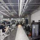 시너지 피트니스 이미지