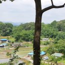 부안임씨 쌍효 정려 이미지