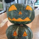 디제이팜 이미지