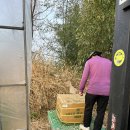 비닐하우스 비닐 설치 + 명량해상케이블카 + 해남빵명장 후기