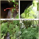 19)07. 莊子장자 外篇외편 第19篇 達生(달생)(第07章)/초지능시대,인간 방패로 저지,비만 치료제,통행료가 배상금,벼랑 끝 외교, 이미지