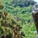 중제고택민박 이미지