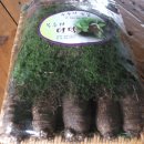 회성농장 이미지