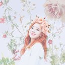 필리스 이미지